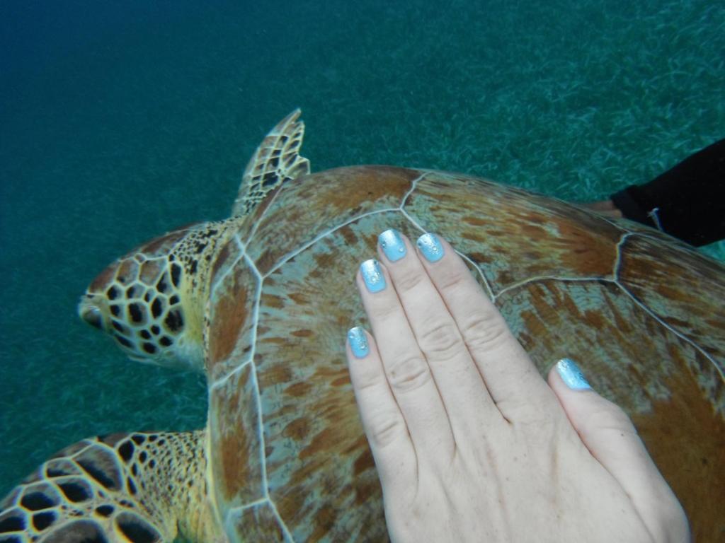 Shaka Caye All Inclusive Resort เบลีซซิตี้ ภายนอก รูปภาพ
